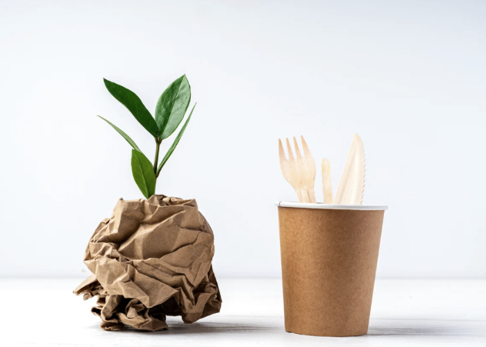 Is compostable really better for the environment?