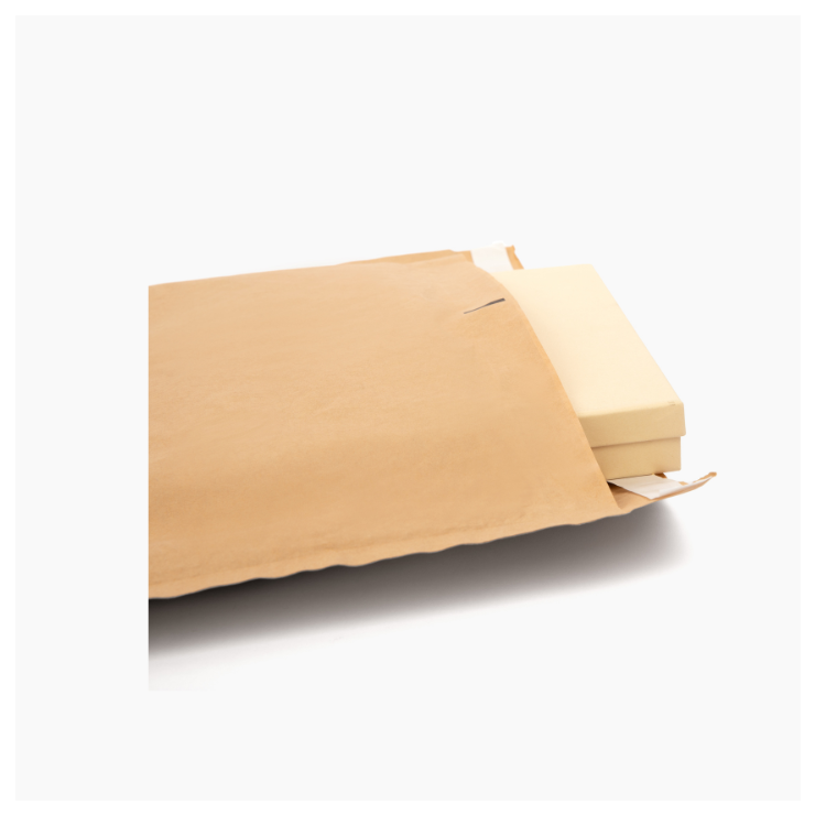 Padded Paper Mailers