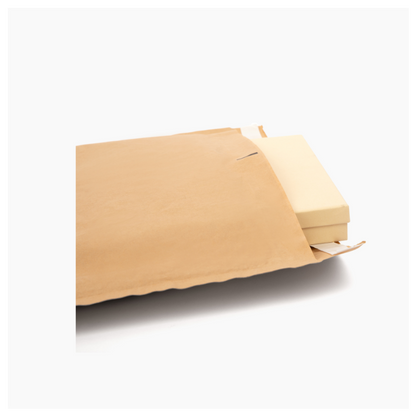 Padded Paper Mailers