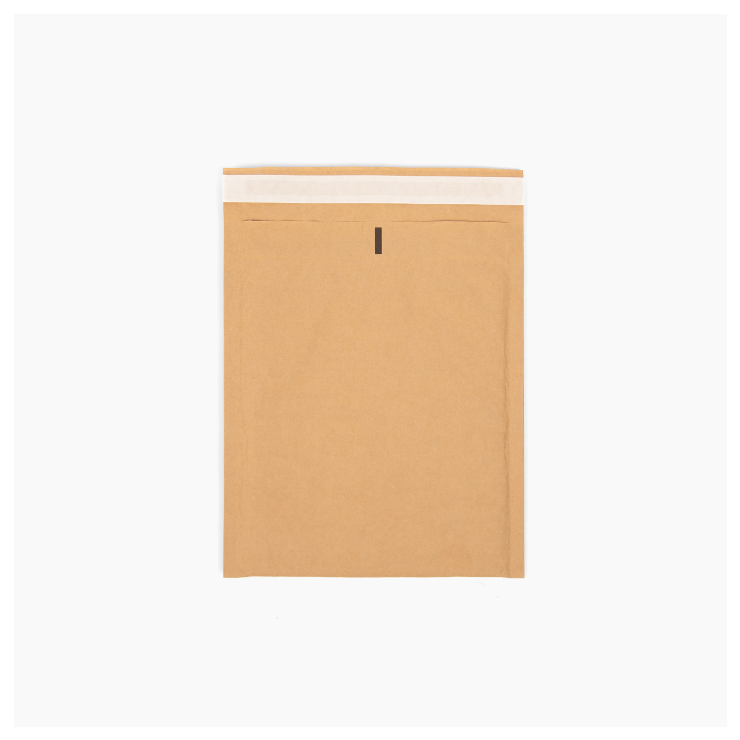 Padded Paper Mailers